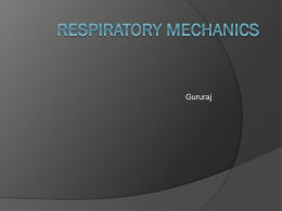 Notes Respiratory Physiology II