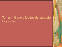 TEMA 1: Generalidades del aparato locomotor
