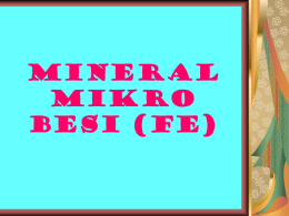 MINERAL MIKRO BESI (Fe) - Metabolisme Zat Gizi Makro