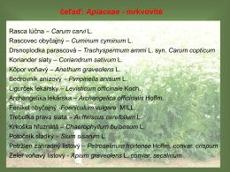 5-pred-celad-Apiaceae