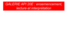 LA GALERIE API 20E