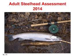 Co-op Angler 2011Results - North Shore Steelhead Association
