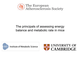 The principals of assessing energy balance and metabolic rate in mice
