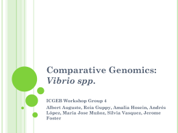Comparative Genomics: Vibrio spp.