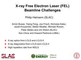 X-ray Free Electron Laser (FEL) Beamline Challenges