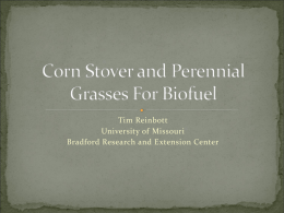 Corn Stover and Perennial Grasses For Biofuel
