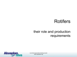 Rotifers – their role and production requirements