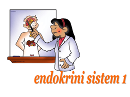 endokrini sistem 1 2014