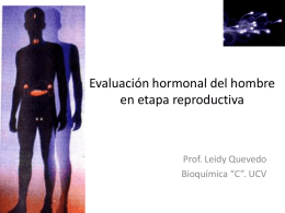 PERFIL HORMONAL MASCULINO