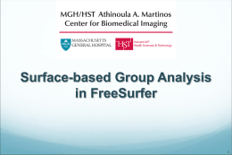 freesurfer.groupanalysis