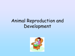 Animal Reproduction and Development