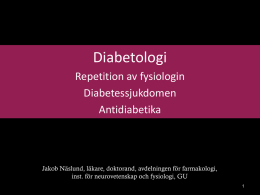 Diabetologi 2013 (ppt-bildspel)