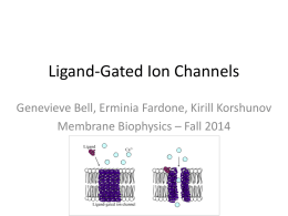 Ligand Gated Ion Channel