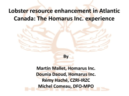 Martin Mallet - Atlantic Lobster Sustainability foundation