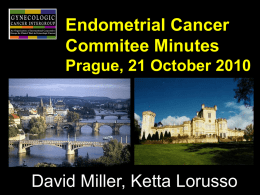 Endometrial Cancer Commitee Agenda Prague October 21, 2010