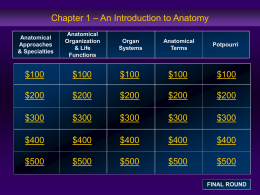 01_QuizShowQuestions