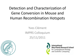 Detection and Characterization of Gene Conversion in Mouse