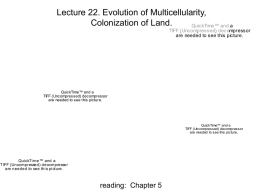 Lecture22