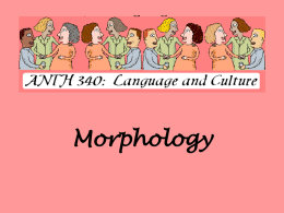 Morphology PowerPoint - Kimberly Martin, Ph.D.