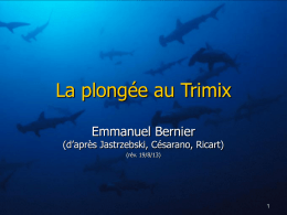 La plong&eacute;e au Trimix