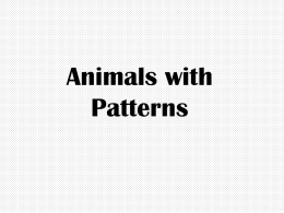 Animals with Patterns