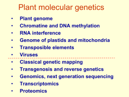Plant genome