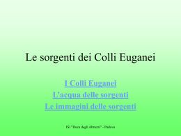 Le sorgenti dei Colli Euganei - IIS Duca degli Abruzzi Padova