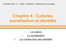 Chapitre 3 : Cultures, socialisation et identités