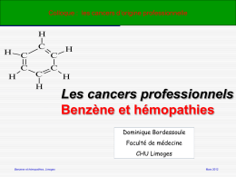 . Rapport d`expert Benz&egrave;ne et h&eacute;mopathies