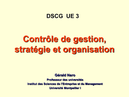Contrôle de gestion organisation et stratégie