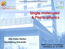 SMS Photo Physics Herten - Events