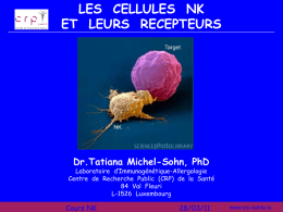 les cellules NK et leur r&Atilde;&copy;cepteur