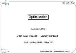 ENSE3/SEM2/IEE : Optimisation 2013-2014 LG