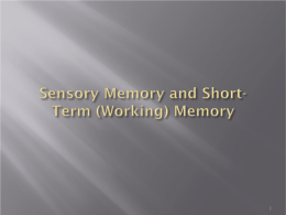 Sensory & Short-Term (or Working) Memory
