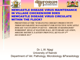 16.L. Njagi-Mbeere workshop 2013