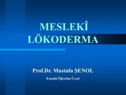 KONTAKT - Prof. Dr. Mustafa ŞENOL