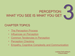 Perception What You See Is What You Get