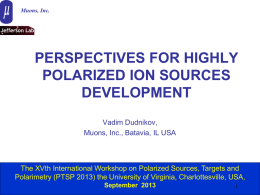 Perspectives for Highly Polarized Ion Sources Development