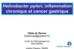 H. pylori - Institut Pasteur