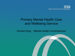 Primary Mental Health Care and Wellbeing Service