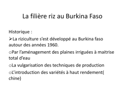 Communication sur la production de riz au Burkina Faso