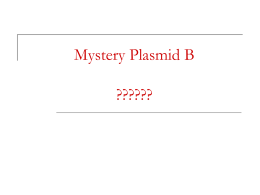 Sample Mystery Plasmid Presentation