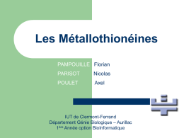 Les M&eacute;tallothion&eacute;ines