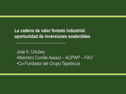 El sector celulósico es parte integral de la industria forestal