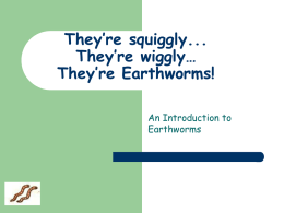 Earthworms - Newton.K12.ma.us