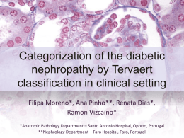Categorization of the diabetic nephropathy by Tervaert classification