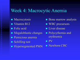 PowerPoint Presentation - Week 3: Macrocytic Anemia