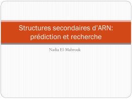 Structures secondaires d`ARN: prédiction et identification