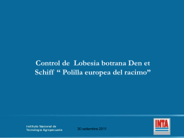 INTA_Control Lob Extension (application/vnd.ms