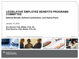 What Is a Hybrid Plan?